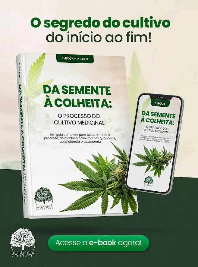 Da Semente à Colheita: O Processo do Cultivo Medicinal